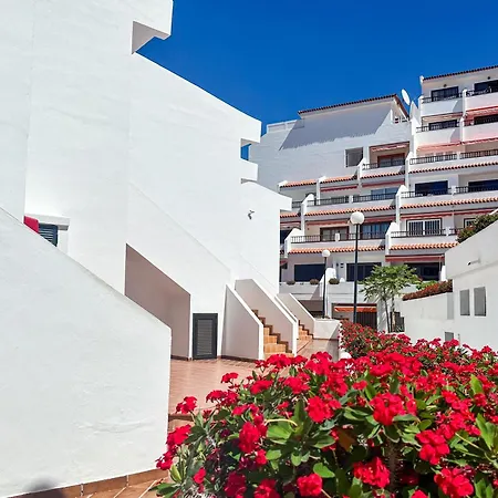 In Ocean Park, Costa Adeje, Tenerife *