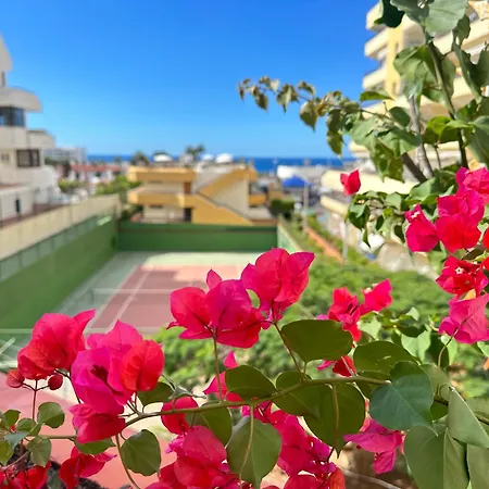 In Ocean Park, Costa Adeje, Tenerife * Адехе