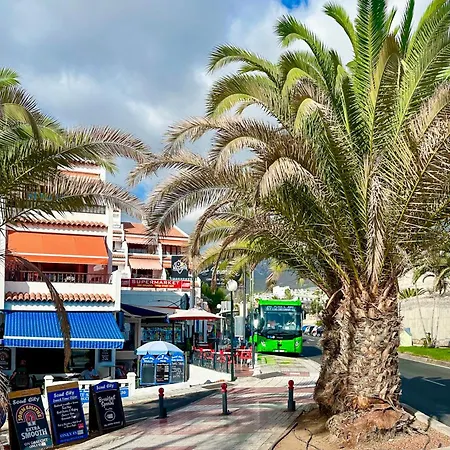 Appartement In Ocean Park, Costa Adeje, Tenerife *