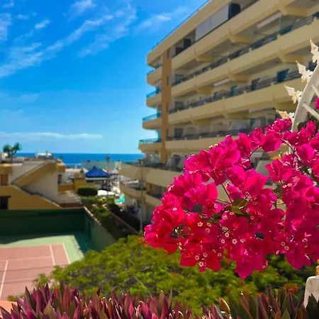 In Ocean Park, Costa Adeje, Tenerife Apartment