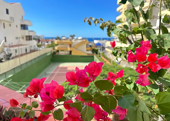 In Ocean Park, Costa Adeje, Tenerife * Адехе