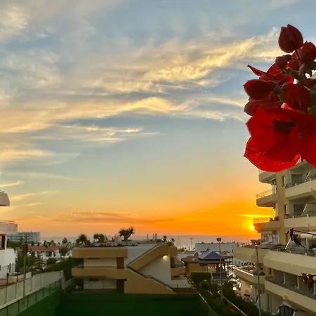 In Ocean Park, Costa Adeje, Tenerife