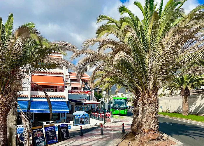 Appartement In Ocean Park, Costa Adeje, Tenerife *